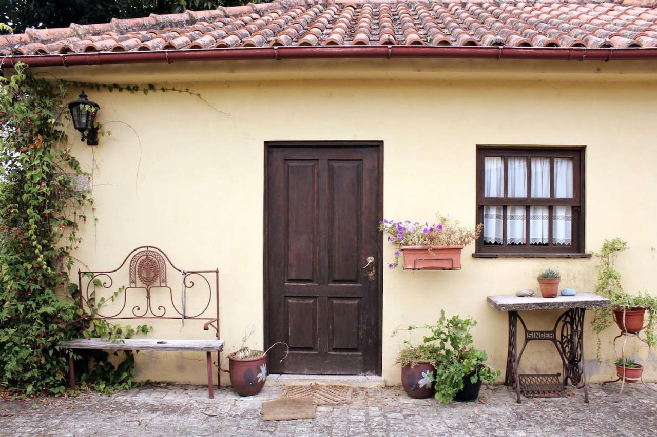 阿尔库什迪瓦尔德维什Quinta Da Imaculada别墅 外观 照片