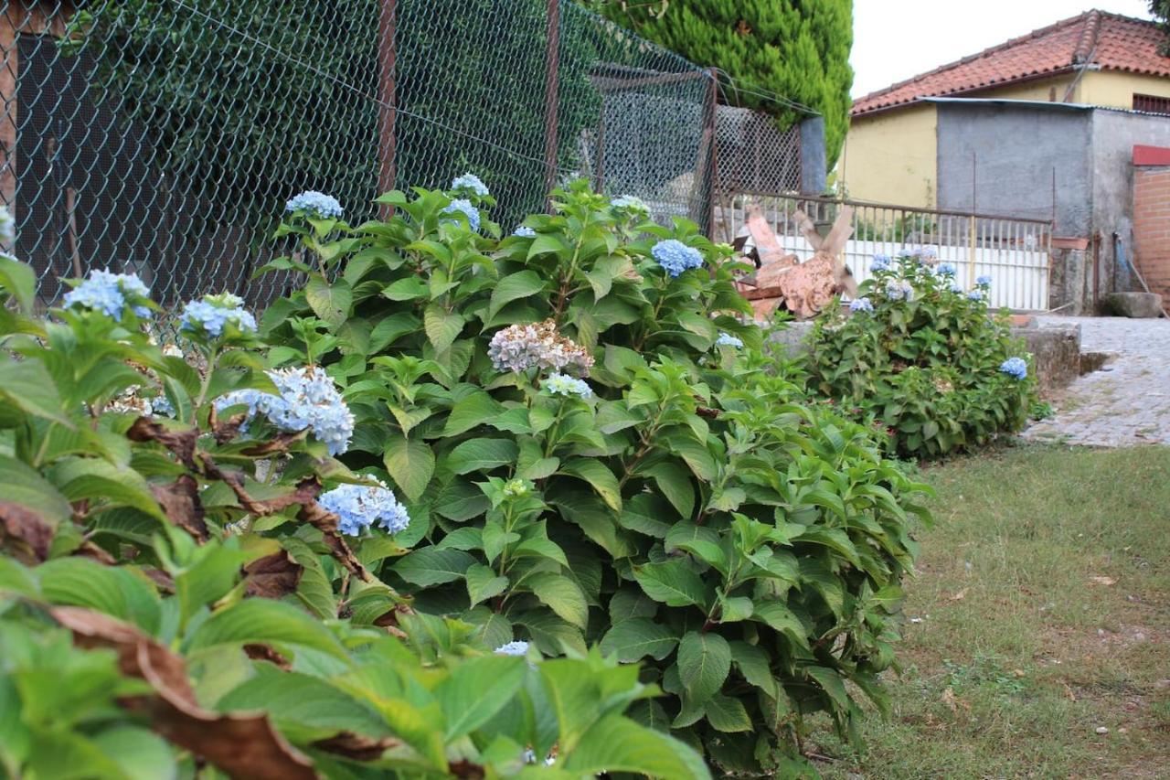 阿尔库什迪瓦尔德维什Quinta Da Imaculada别墅 外观 照片
